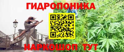амф Кулебаки