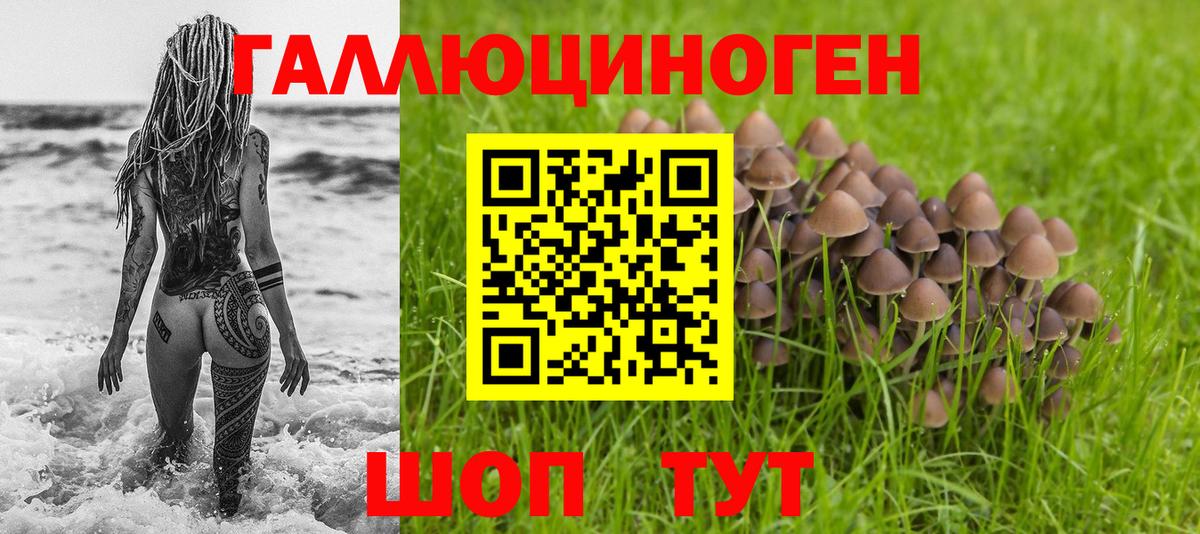 Псилоцибиновые грибы GOLDEN TEACHER Ирбит